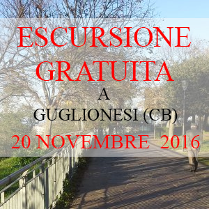 Escursione da non perdere con guida gratuita Domenica 20 Novembre 2016 alla scoperta di Guglionesi… nel Molise che emoziona!