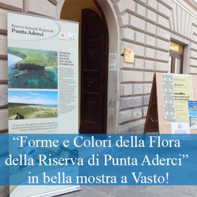 “Forme e Colori della Flora della Riserva di Punta Aderci” in bella mostra a Vasto!