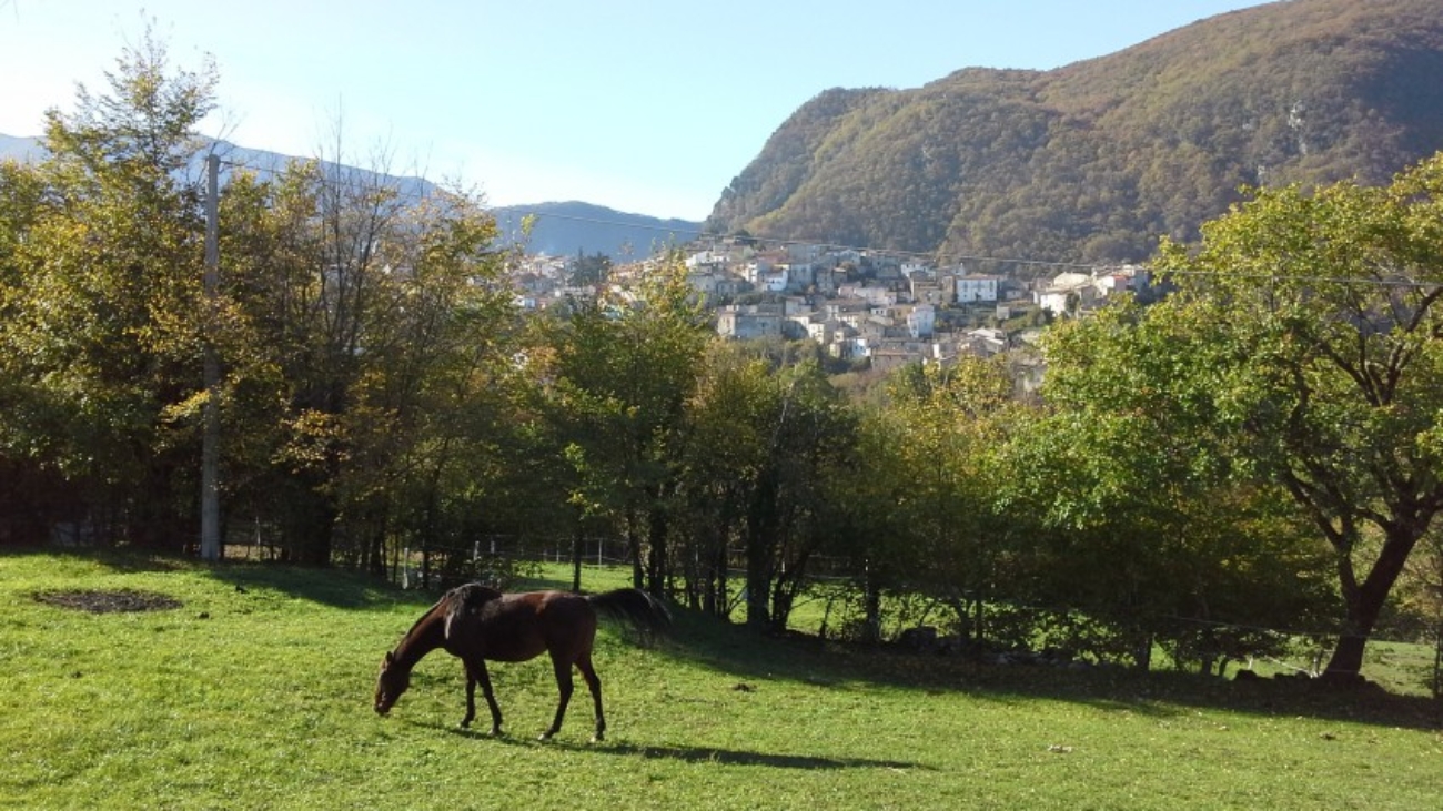 moliseinvita.it - Guardiaregia CB Molise ITALY - cavalli al pascolo  . 8