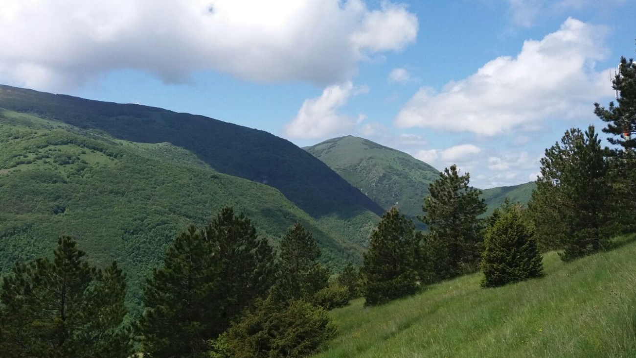 Colline del Molise campagne