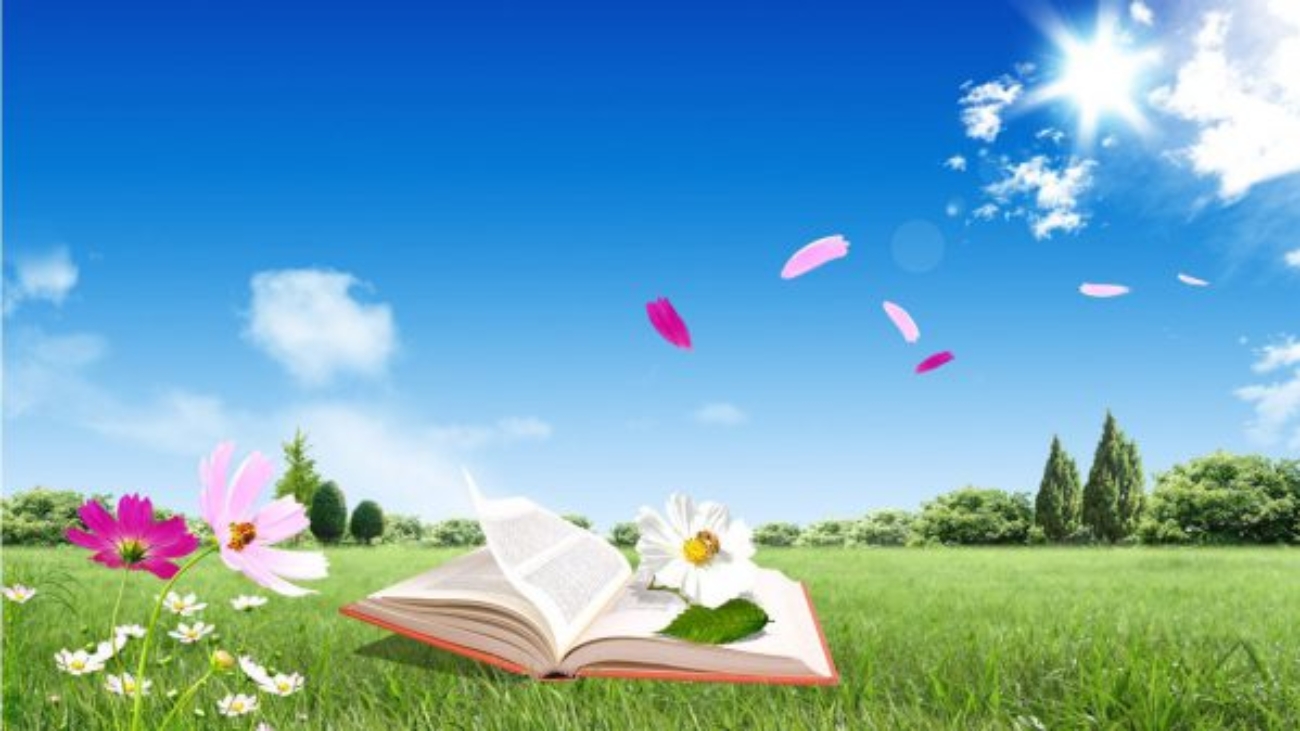 libri - poesia