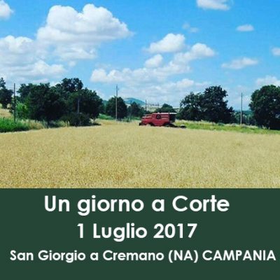 Evento in Campania per il Molise - 1 Luglio 2017 Sapori e grani antichi