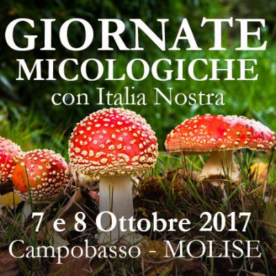 Evento natura e scienza in Molise - Giornate micologiche con Italia Nostra Campobasso