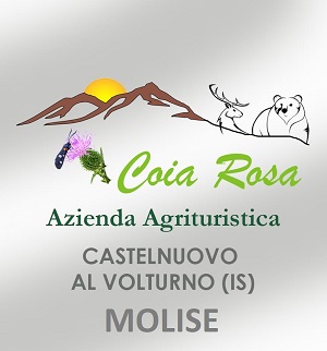 Azienda Agrituristica Coia Rosa B&B Monte Marrone da Laura - Castelnuovo al Volturno Rocchetta al Volturno (IS) MOLISE