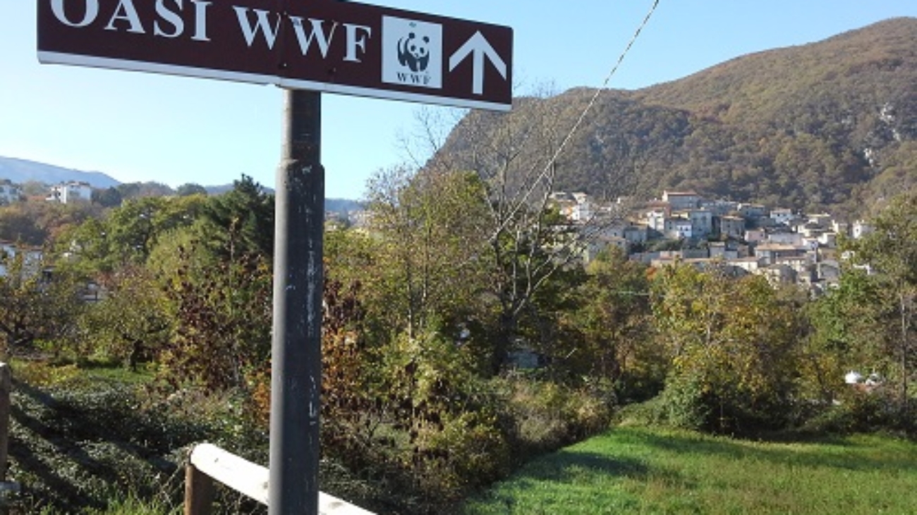 Guardiaregia Oasi WWF Matese