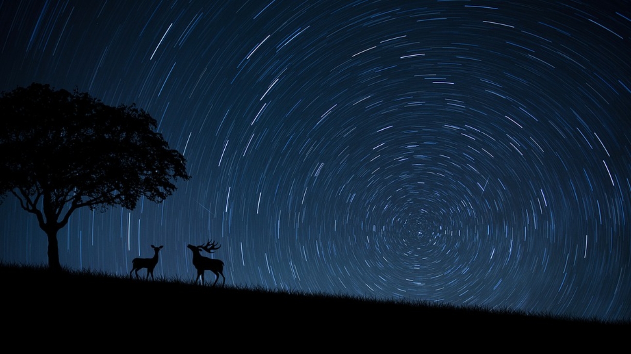 Notte di San Lorenzo Cielo e stelle cadenti
