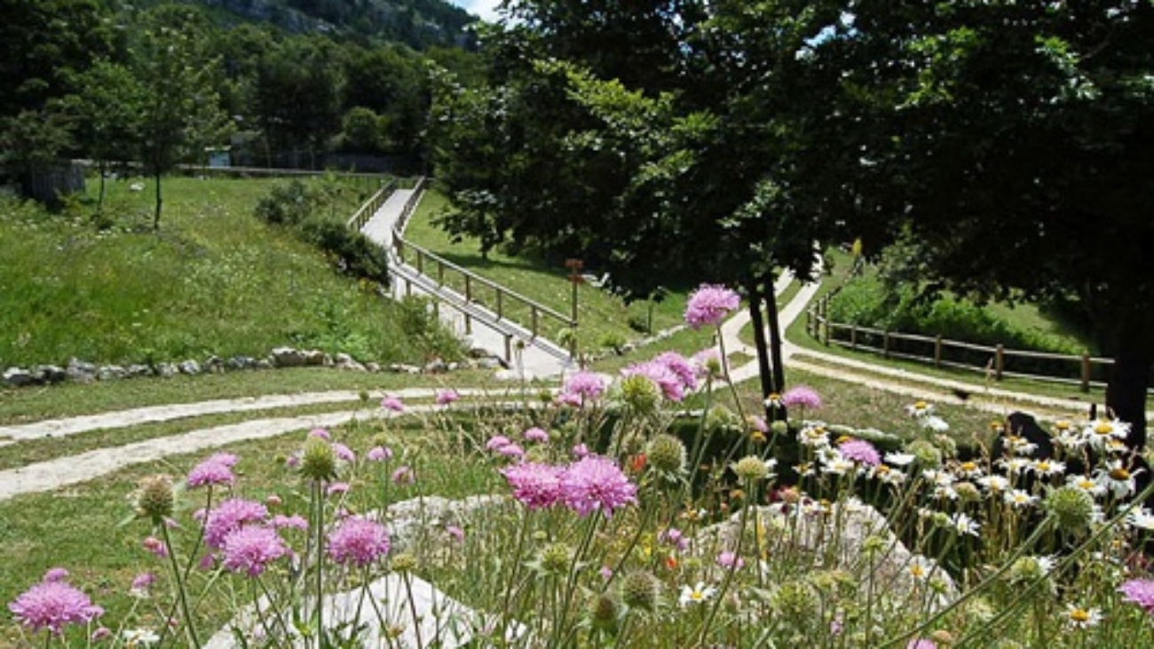 Prato Gentile, Capracotta Riserva Naturale Mab Collemeluccio Montedimezzo Alto Molise Acapulco Termoli Moliseexplorer