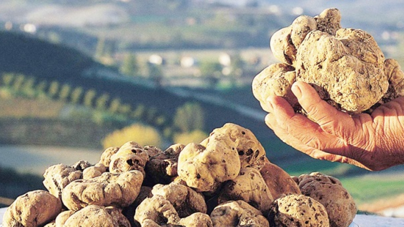 tartufo Cibo