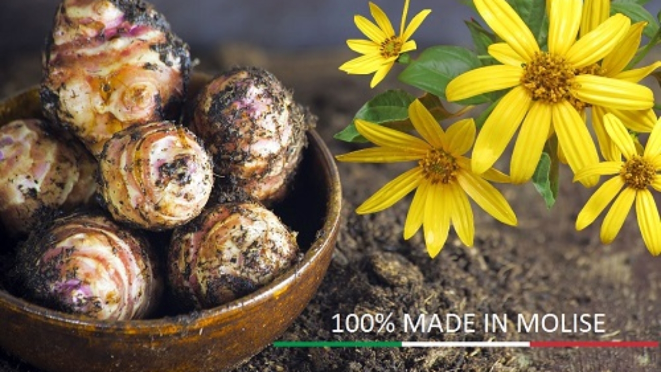 Delicatessence Azienda agricola Topinambur Castropignano CB MOLISE 8 cibo