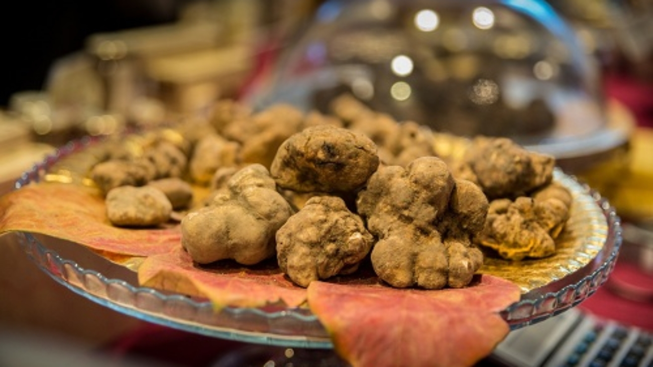 Mostra Mercato del tartufo bianco. San Pietro Avellana IS MOLISE Cibo buono in Italia e in Molise