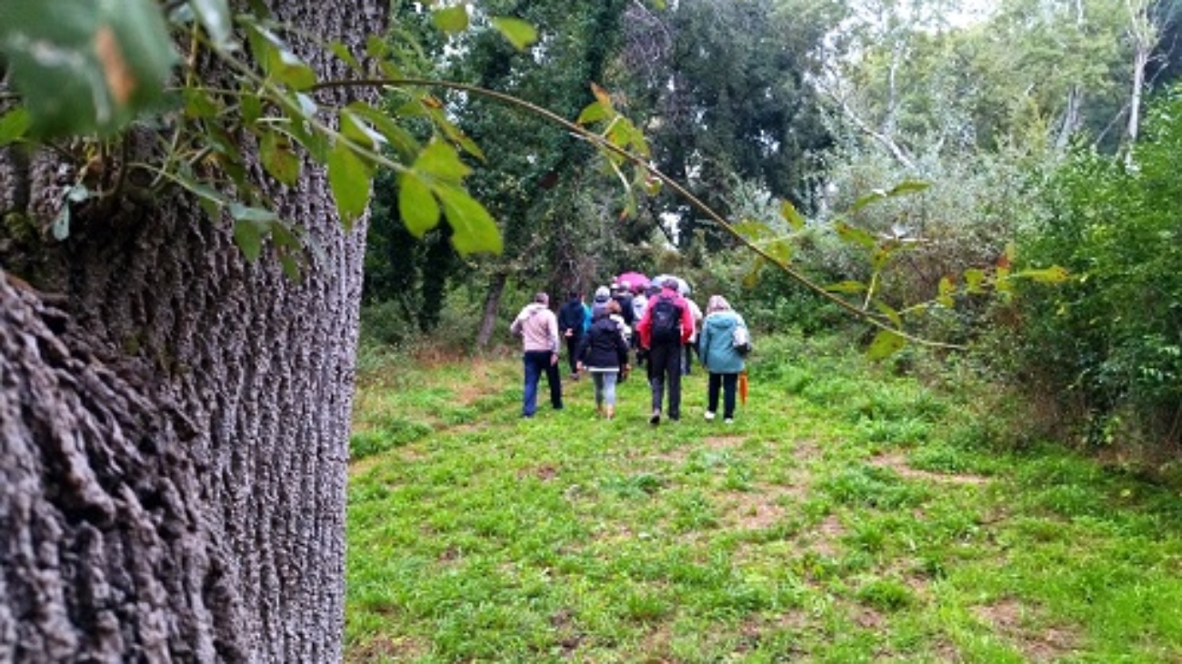 Bosco Fantine Campomarino CB MOLISE - Ambiente Basso Molise IAIGII 203414